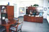 Executive Suite #1.jpg (125878 bytes)